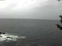 ./images/koeye/fitz-hugh/20181103/fitz-hugh20181103_124502.jpg