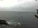./images/koeye/fitz-hugh/20181103/fitz-hugh20181103_142501.jpg