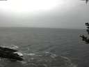 ./images/koeye/fitz-hugh/20181103/fitz-hugh20181103_151502.jpg