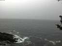 ./images/koeye/fitz-hugh/20181103/fitz-hugh20181103_165501.jpg