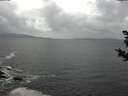 ./images/koeye/fitz-hugh/20181104/fitz-hugh20181104_123001.jpg