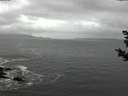 ./images/koeye/fitz-hugh/20181104/fitz-hugh20181104_124501.jpg