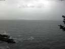 ./images/koeye/fitz-hugh/20181104/fitz-hugh20181104_132502.jpg
