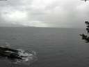 ./images/koeye/fitz-hugh/20181104/fitz-hugh20181104_134001.jpg