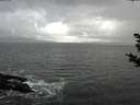 ./images/koeye/fitz-hugh/20181104/fitz-hugh20181104_134502.jpg