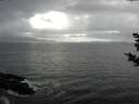 ./images/koeye/fitz-hugh/20181104/fitz-hugh20181104_135002.jpg