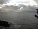 ./images/koeye/fitz-hugh/20181104/fitz-hugh20181104_144001.jpg