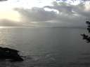 ./images/koeye/fitz-hugh/20181104/fitz-hugh20181104_144501.jpg