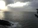 ./images/koeye/fitz-hugh/20181104/fitz-hugh20181104_150001.jpg