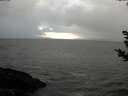 ./images/koeye/fitz-hugh/20181104/fitz-hugh20181104_162001.jpg