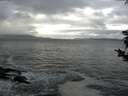 ./images/koeye/fitz-hugh/20181105/fitz-hugh20181105_134002.jpg