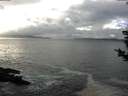 ./images/koeye/fitz-hugh/20181105/fitz-hugh20181105_143501.jpg