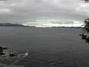 ./images/koeye/fitz-hugh/20181106/fitz-hugh20181106_135001.jpg