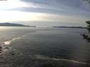 ./images/koeye/fitz-hugh/20181107/fitz-hugh20181107_134502.jpg