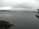 ./images/koeye/fitz-hugh/20181108/fitz-hugh20181108_070501.jpg