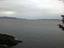 ./images/koeye/fitz-hugh/20181108/fitz-hugh20181108_073502.jpg