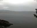 ./images/koeye/fitz-hugh/20181108/fitz-hugh20181108_074502.jpg