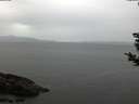 ./images/koeye/fitz-hugh/20181108/fitz-hugh20181108_075002.jpg