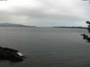 ./images/koeye/fitz-hugh/20181108/fitz-hugh20181108_084001.jpg