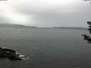 ./images/koeye/fitz-hugh/20181108/fitz-hugh20181108_093501.jpg