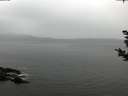 ./images/koeye/fitz-hugh/20181108/fitz-hugh20181108_095501.jpg