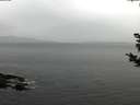 ./images/koeye/fitz-hugh/20181108/fitz-hugh20181108_100501.jpg