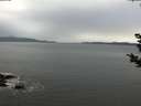 ./images/koeye/fitz-hugh/20181108/fitz-hugh20181108_102502.jpg