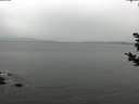 ./images/koeye/fitz-hugh/20181108/fitz-hugh20181108_104502.jpg