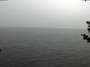 ./images/koeye/fitz-hugh/20181108/fitz-hugh20181108_112502.jpg