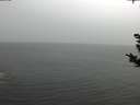 ./images/koeye/fitz-hugh/20181108/fitz-hugh20181108_114501.jpg