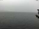 ./images/koeye/fitz-hugh/20181108/fitz-hugh20181108_115501.jpg