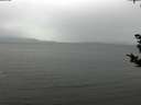 ./images/koeye/fitz-hugh/20181108/fitz-hugh20181108_130501.jpg
