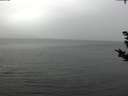 ./images/koeye/fitz-hugh/20181108/fitz-hugh20181108_132001.jpg