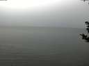 ./images/koeye/fitz-hugh/20181108/fitz-hugh20181108_132502.jpg