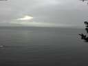 ./images/koeye/fitz-hugh/20181108/fitz-hugh20181108_134502.jpg