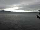./images/koeye/fitz-hugh/20181108/fitz-hugh20181108_141502.jpg