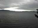 ./images/koeye/fitz-hugh/20181108/fitz-hugh20181108_142002.jpg