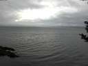 ./images/koeye/fitz-hugh/20181108/fitz-hugh20181108_154001.jpg