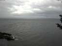 ./images/koeye/fitz-hugh/20181108/fitz-hugh20181108_154501.jpg