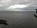 ./images/koeye/fitz-hugh/20181108/fitz-hugh20181108_155501.jpg