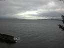 ./images/koeye/fitz-hugh/20181108/fitz-hugh20181108_162501.jpg