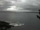 ./images/koeye/fitz-hugh/20181108/fitz-hugh20181108_172502.jpg