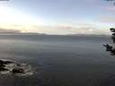 ./images/koeye/fitz-hugh/20181109/fitz-hugh20181109_104001.jpg