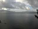 ./images/koeye/fitz-hugh/20181109/fitz-hugh20181109_115501.jpg