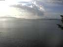 ./images/koeye/fitz-hugh/20181109/fitz-hugh20181109_134501.jpg