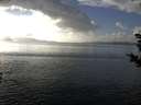 ./images/koeye/fitz-hugh/20181109/fitz-hugh20181109_144501.jpg