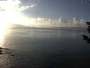 ./images/koeye/fitz-hugh/20181109/fitz-hugh20181109_150501.jpg