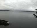 ./images/koeye/fitz-hugh/20181111/fitz-hugh20181111_071001.jpg