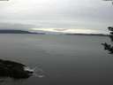 ./images/koeye/fitz-hugh/20181111/fitz-hugh20181111_085502.jpg