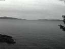 ./images/koeye/fitz-hugh/20181112/fitz-hugh20181112_070502.jpg